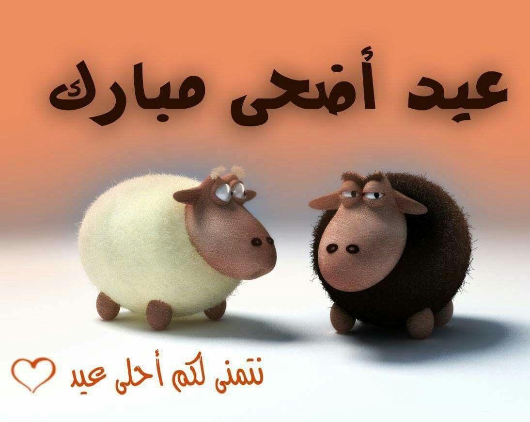 ” الاجازة هتبدأ امتا” موعد عيد الاضحى المبارك 2024 وموعد وقفة عرفات