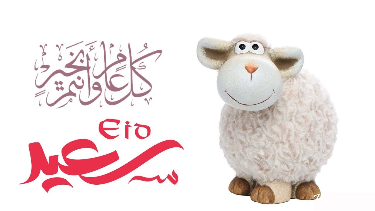 ” بدء العد التنازلي” كم عدد ايام اجازة عيد الاضحي 2024 ومتي تبدأ الأجازة