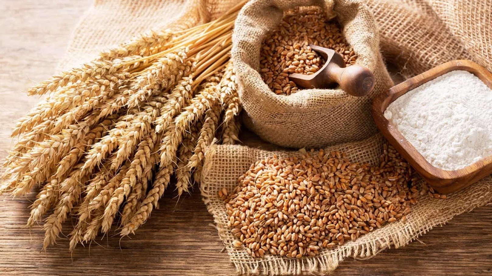 “الأردب بكام” سعر طن القمح اليوم الأربعاء 5 يونيو 2024 وأسعار السلع الأساسية في الأسواق المصرية