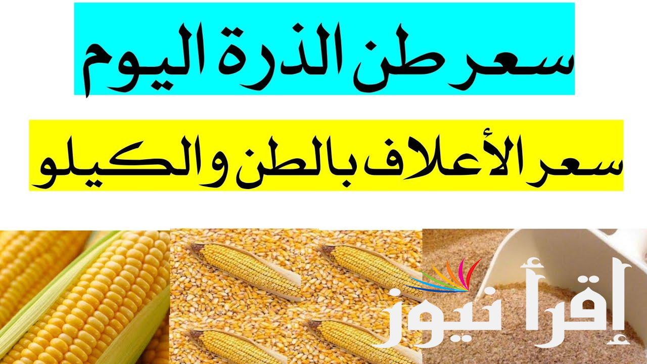 سعر طن الذرة الصفراء اليوم الاثنين 19 أغسطس 2024 بدأ موسم الحصاد يُعلن انخفاض