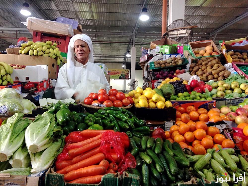 كيلو الطماطم بكام ؟ اسعار الخضار اليوم الجمعة 20 سبتمبر 2024 واسعار الفاكهة داخل الاسواق