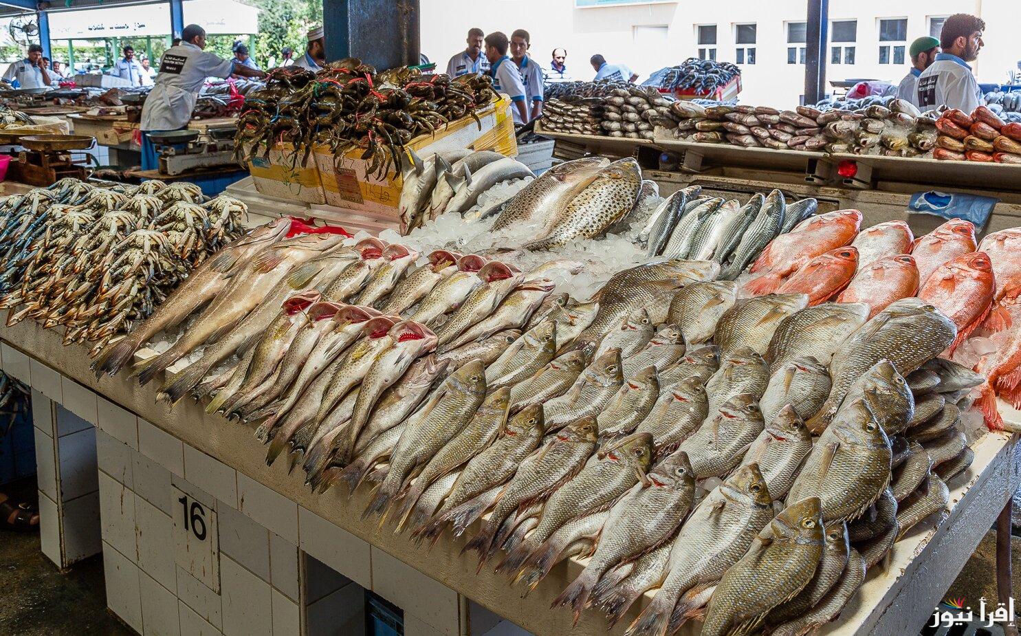 “البوري بـ150ج” اسعار السمك اليوم الأربعاء 18 سبتمبر 2024 في سوق العبور وشوادر الأسماك