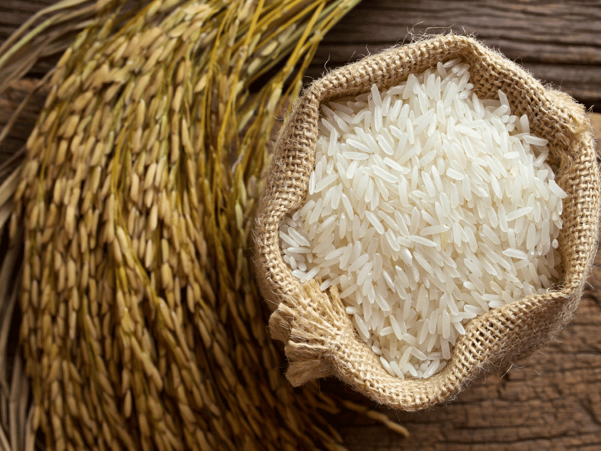 سعر طن الأرز الشعير اليوم الثلاثاء 22/10/2024 داخل كافة الأسواق التجارية في مصر