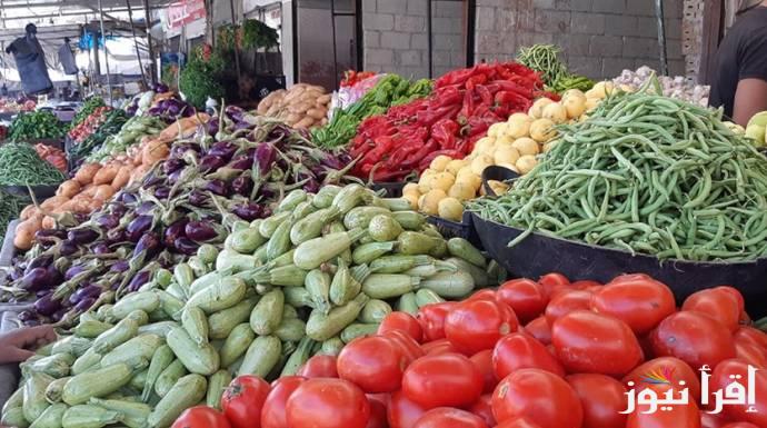 جدول أسعار الخضار اليوم الأربعاء 23 أكتوبر 2024 في مصر للمستهلك بجميع الأسواق