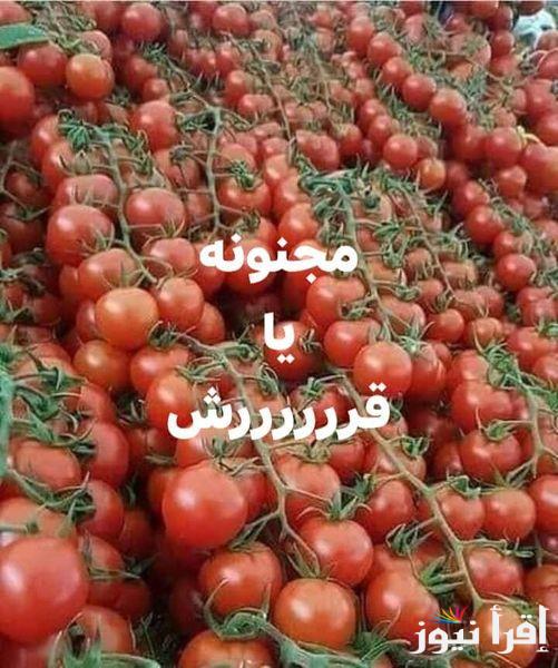 ‎”اشتري وخزني”.. اسعار الطماطم اليوم الجمعة 24-10-2024 للمُستهلك بسوق العبور | أسعار الخضروات والفاكهة الآن بالاسواق