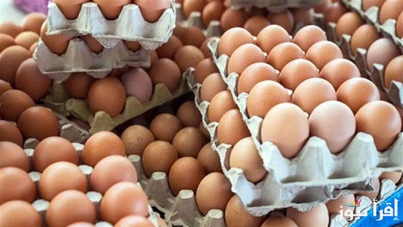 “ابيض واحمر”  اسعار البيض اليوم الخميس الموافق 2024/10/17 للمستهلك في المحلات التجارية