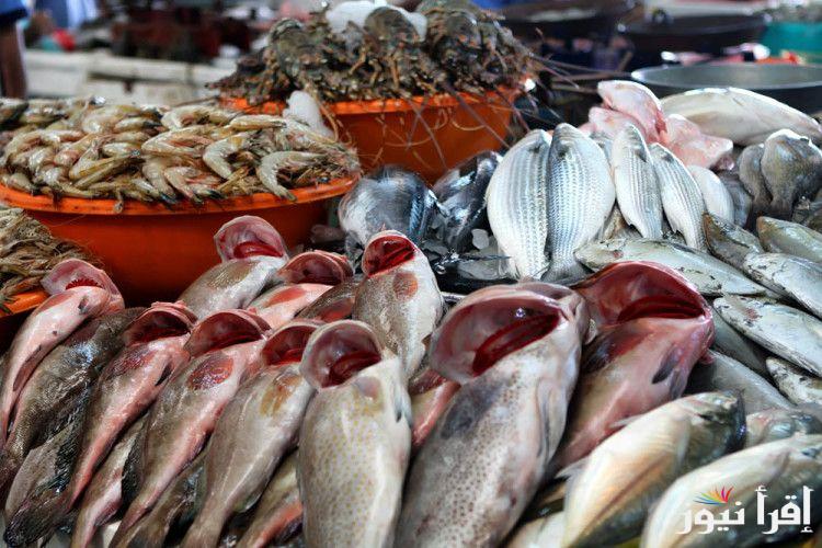 “فريش ومجمد” اسعار السمك اليوم الاربعاء الموافق 2024/10/23 للمستهلكين في الاسواق
