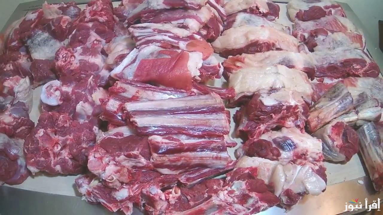 ” بتلو وبلدي وكندور” سعر كيلو اللحمة الاحد الموافق 2024/10/20 للمستهلك في محلات الجزارة ومنافذ البيع