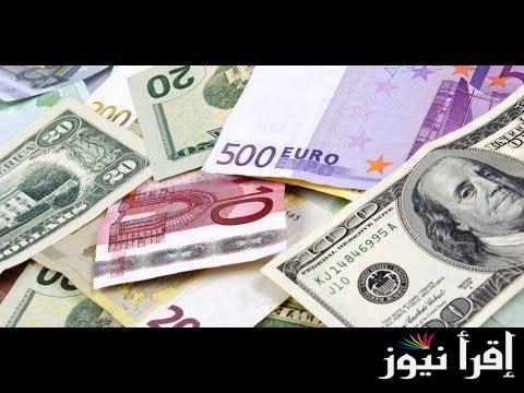لحظيا.. سعر الدولار واليورو اليوم السبت 2 نوفمبر 2024 في السوق الموازية ومختلف البنوك