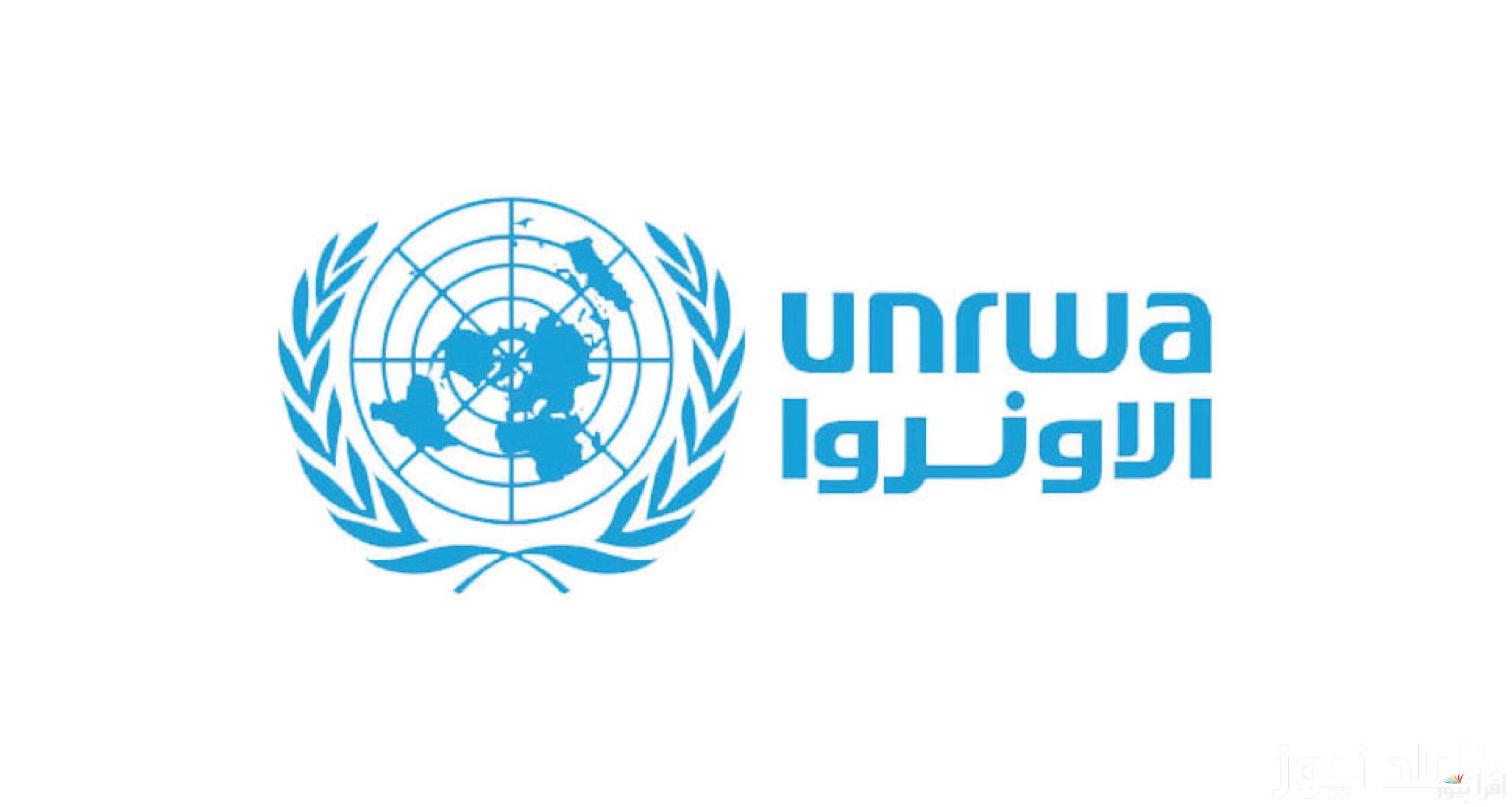 رابط فحص الطحين فلسطين 2024 آلية توزيع الطحين في وكالة الأونروا الدولية للمساعدات