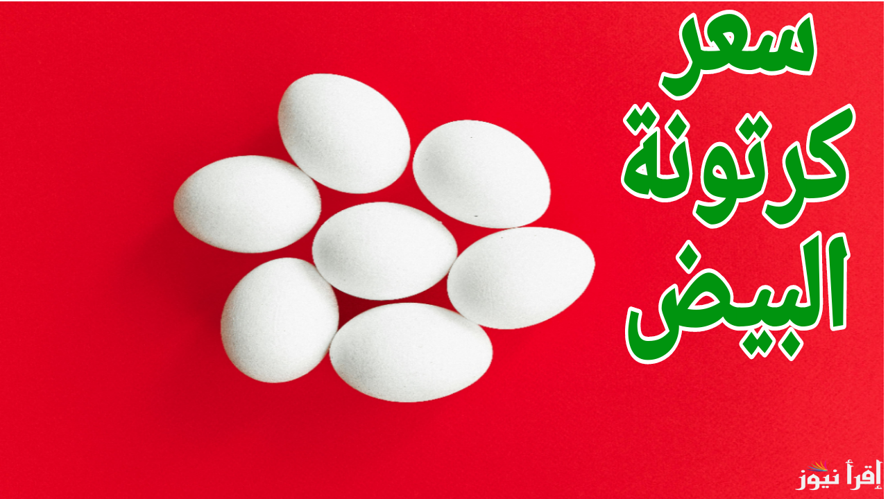 الأحمر والأبيض بكام.. سعر كرتونة البيض اليوم الأحمر الإثنين 30 ديسمبر 2024 في مصر 