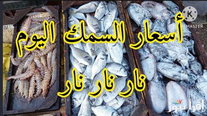 “كيلو البلطي بــ 68 جنيه”  أسعار السمك اليوم الاحد 29 ديسمبر 2024 للمستهلك بمختلف انواعه دنيس وبلطي وجمبري