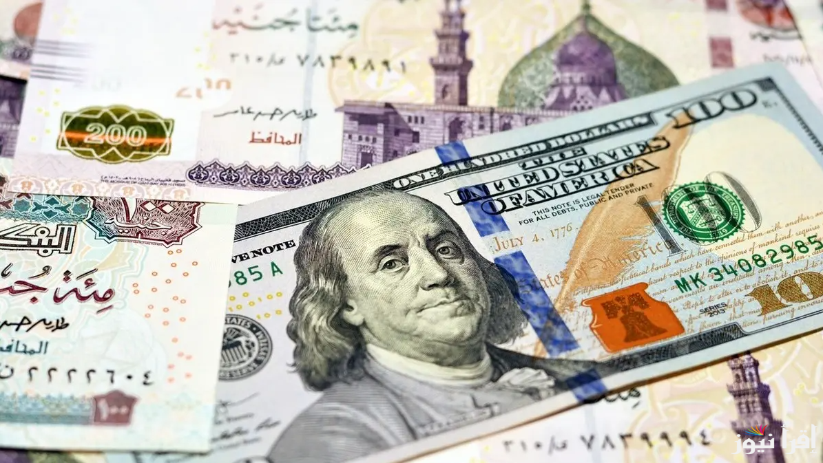 الأخضر ينفجر .. سعر الدولار في السوق السوداء يسجل ارتفاع  بـ5 بنوك بمصر اليوم الثلاثاء 17-12-2024