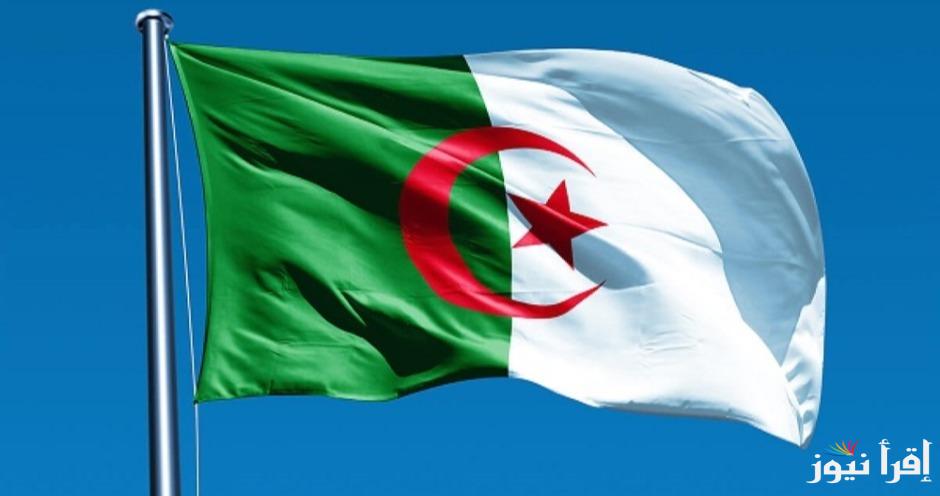 رابط التقديم في منحة الطفل بالجزائر 2025 وخطوات التقديم واهم الشروط المطلوبة