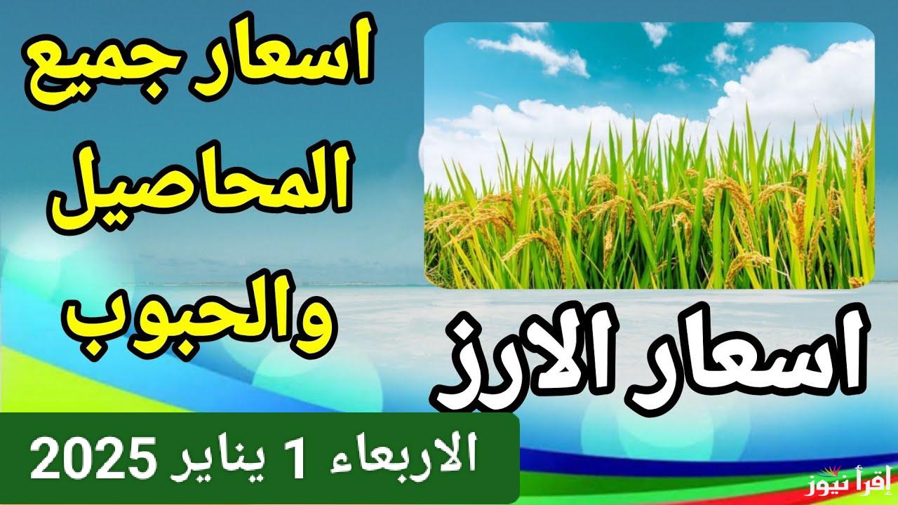 من الغيط للبورصة.. سعر طن الأرز الشعير اليوم الأربعاء 1 يناير 2025 في مصر 