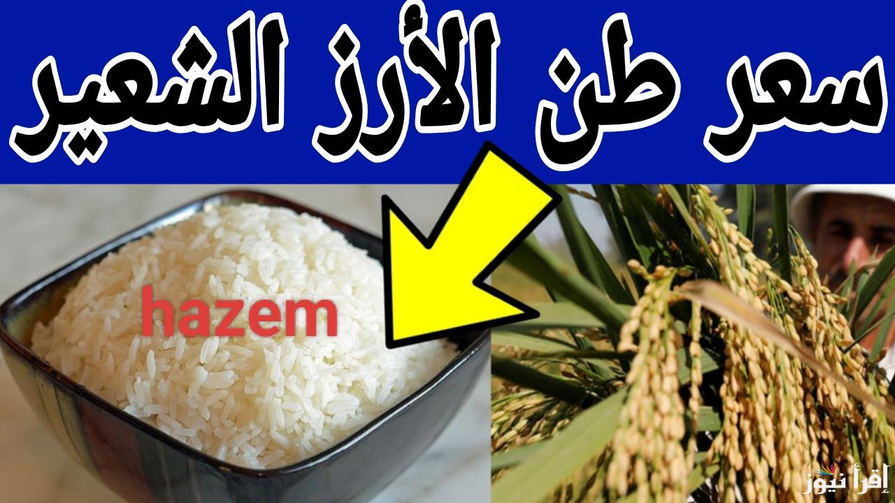الحق اشتري في تراجع كبير.. سعر طن الأرز الشعير الان الخميس 16 يناير 2025 في الأسواق المصرية 