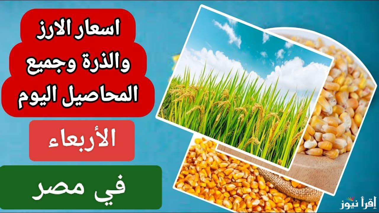 الحق اشتري قبل رمضان.. سعر طن الأرز الشعير اليوم الاربعاء 8 يناير 2025 في مصر 