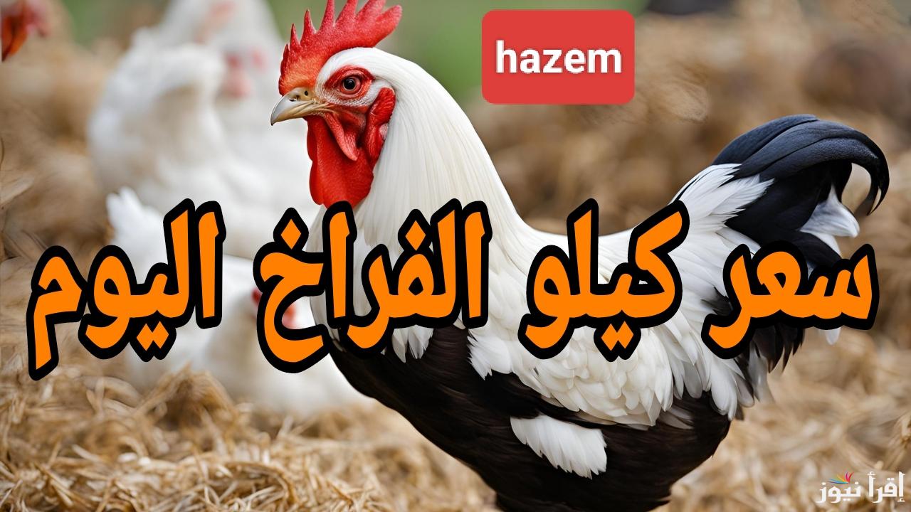 الكيلو ولع قبل رمضان.. اسعار الفراخ البيضاء اليوم للمستهلك الإثنين 20 يناير 2025 في المزارع والمحلات 