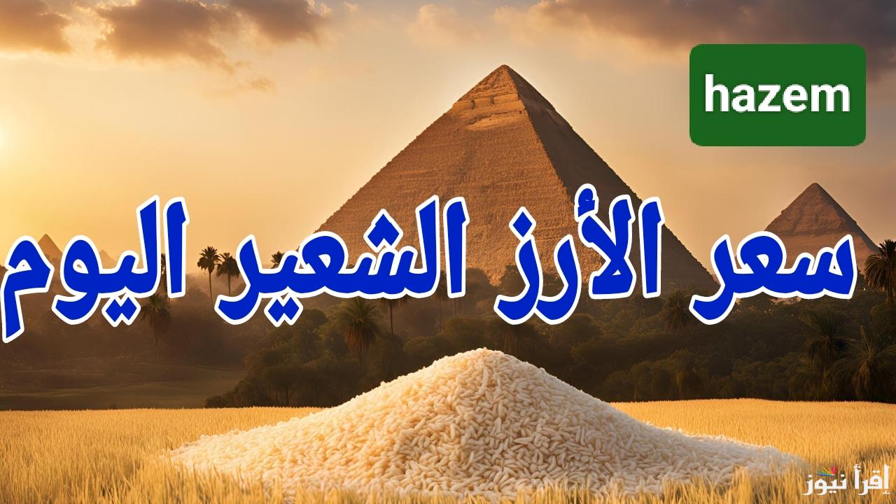 عريض الحبة يحلق في السماء.. سعر طن الأرز الشعير اليوم الثلاثاء 21 يناير 2025 في الأسواق المصرية 