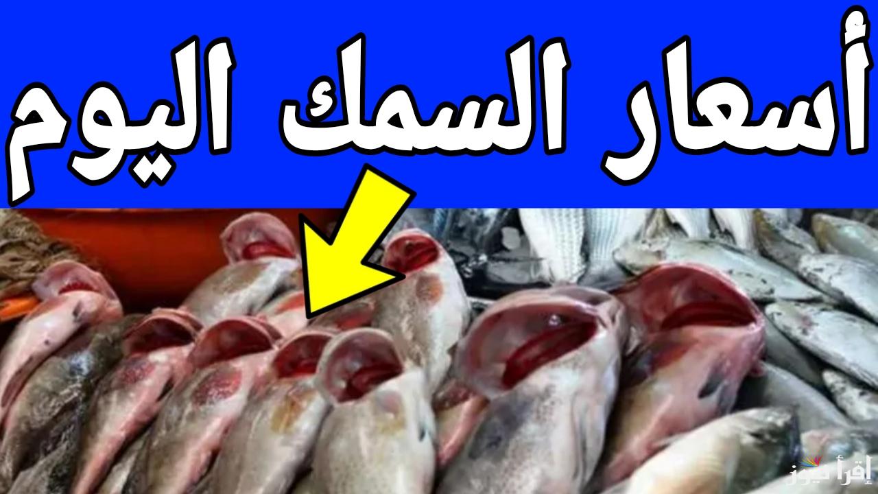 المكرونة وصلت 75 جنيه.. أسعار السمك اليوم في الأسواق المصرية الثلاثاء 7 يناير 2025 