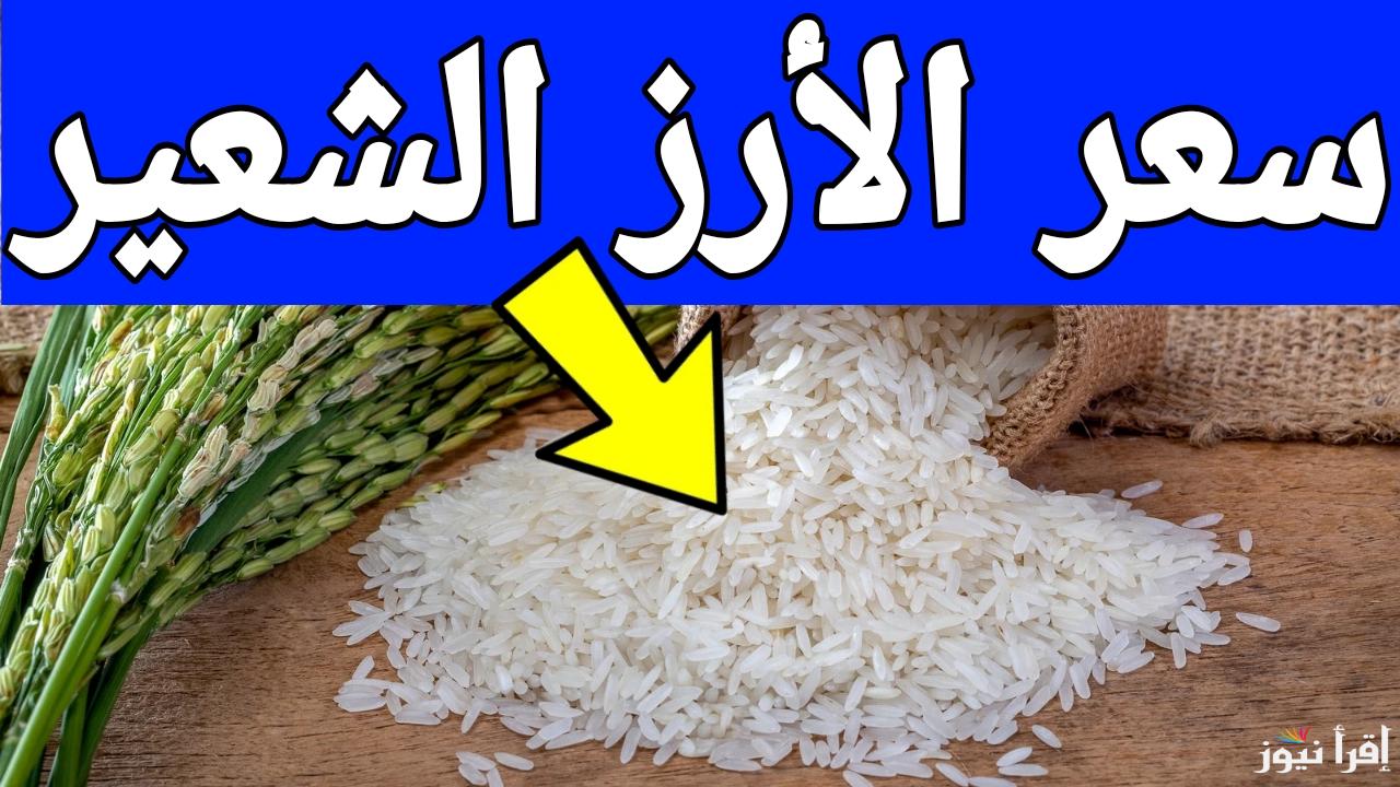 قبل ما تشتري أرز رمضان.. سعر طن الأرز الشعير اليوم الثلاثاء 14 يناير 2025 في مصر 