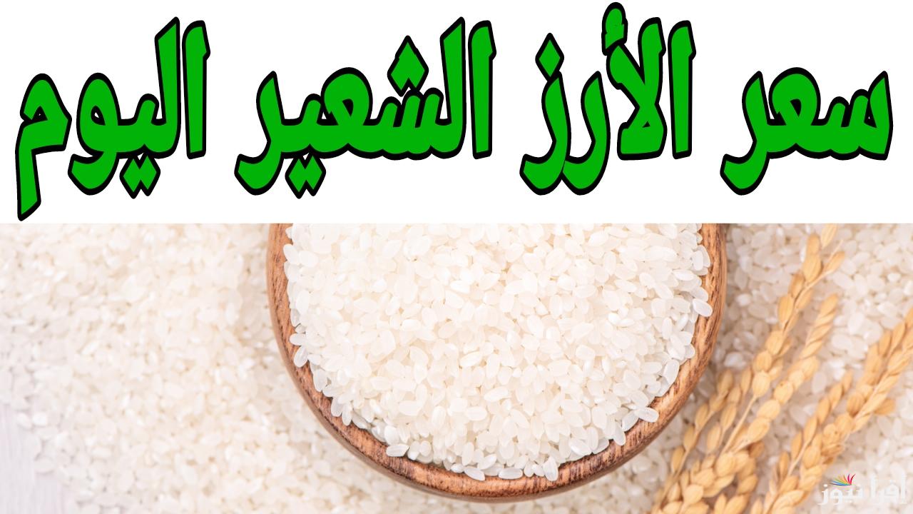 الأبيض طاير وبيرفرف.. سعر طن الأرز الشعير اليوم الجمعة 17 يناير 2025 في الأسواق المصرية 