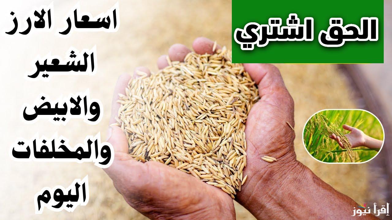 من قلب السوق.. سعر طن الأرز الشعير اليوم في مصر 2025 في جميع الاسواق المحلية 