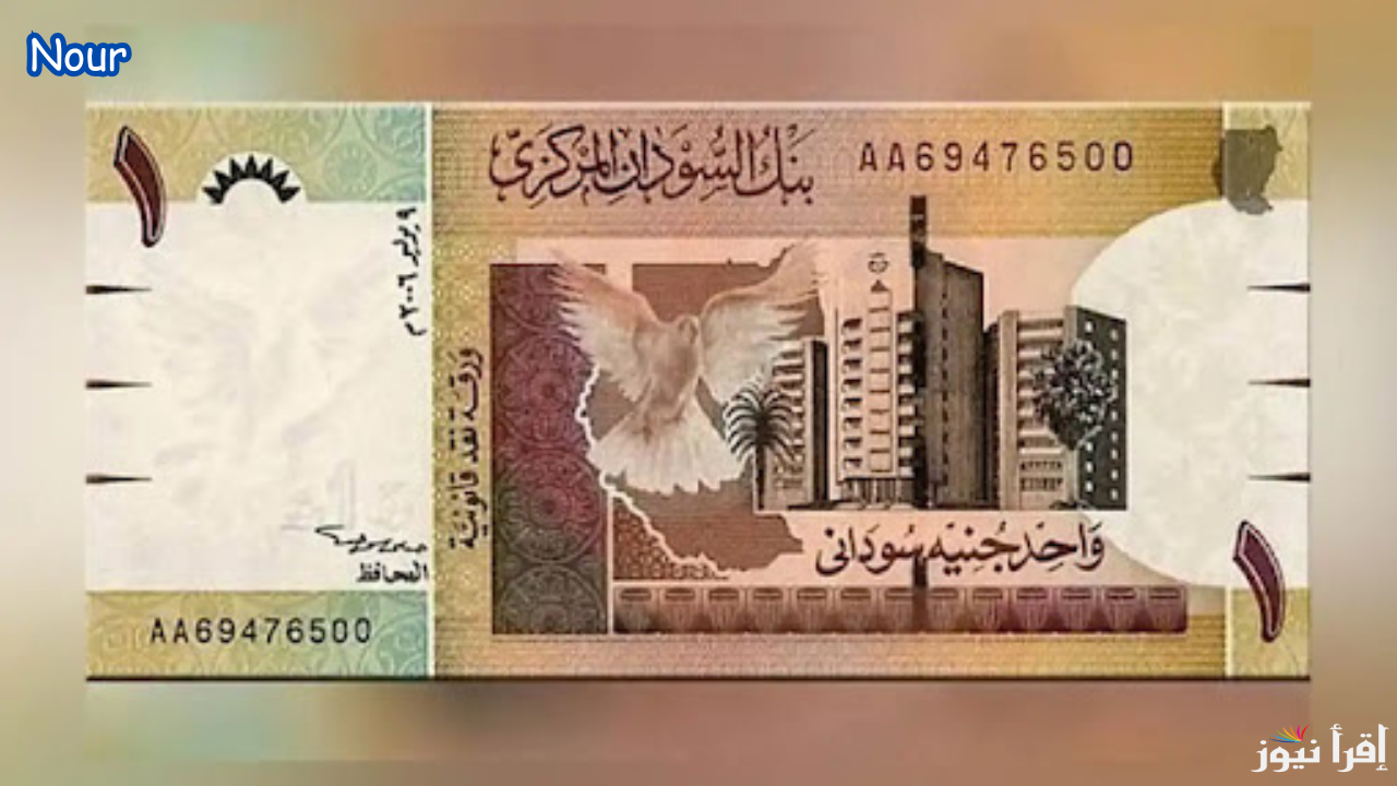 سعر الجنية السوداني مقابل الجنية المصري اليوم 13 يناير 2025