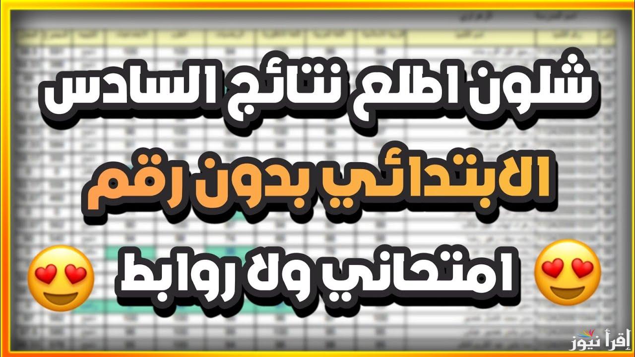 رابط مباشر.. نتائج السادس الابتدائي في العراق 2025 الدور الأول في العراق عند ظهورها 