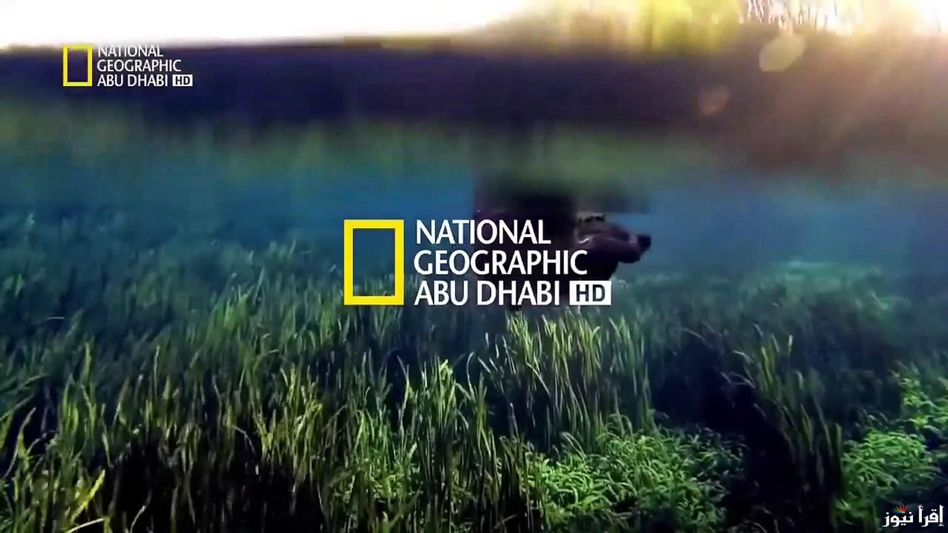 تردد ناشيونال جيوغرافيك نايل سات ٢٠٢٥ National Geographic .. استكشف أسرار الكون والطبيعة
