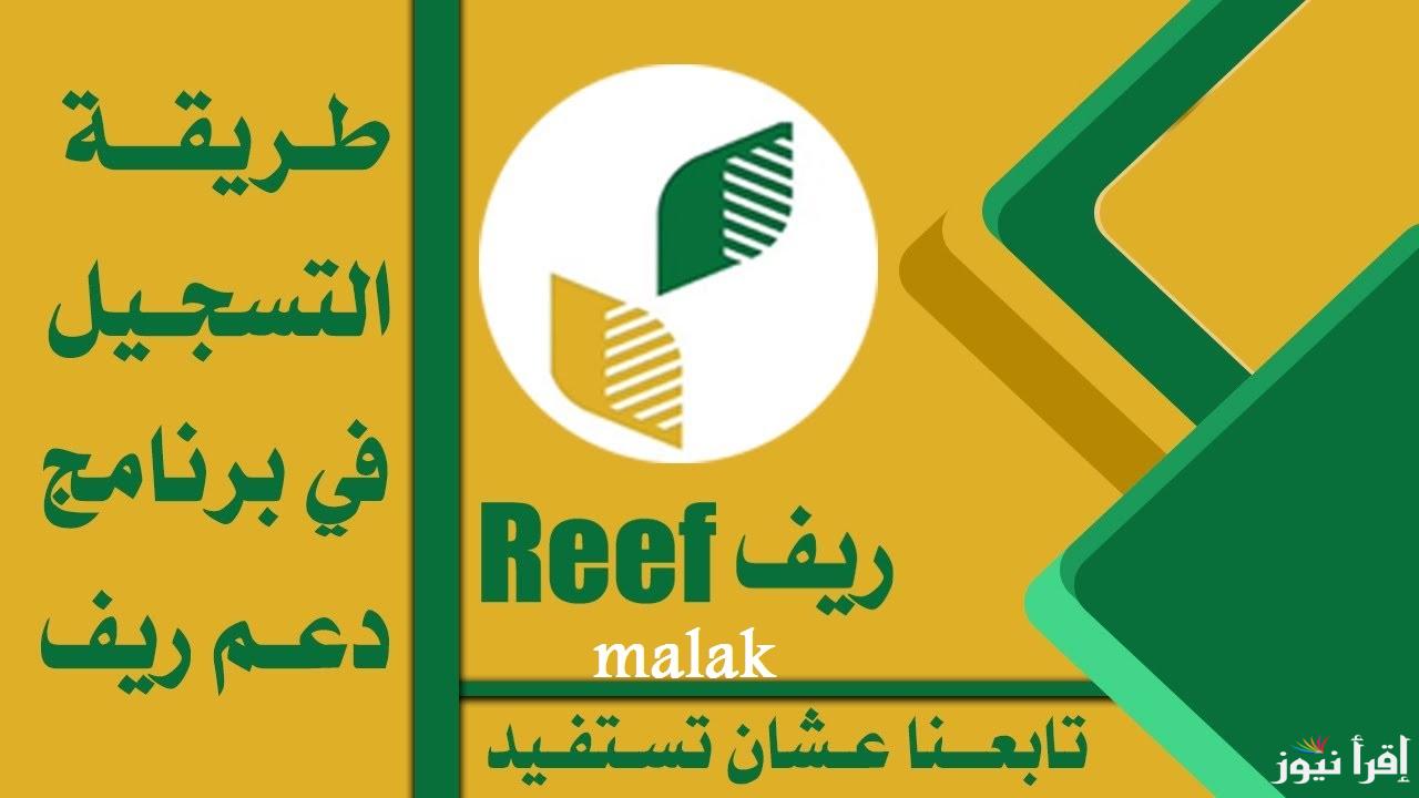 التسجيل في دعم ريف 1446-2025 وأهم الشروط للحصول على دخل شهري