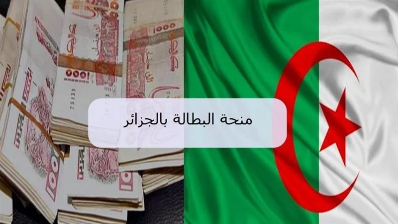 شغال قدم الآن.. خطوات التسجيل في منحة البطالة 2025 بالشروط المُعلنة من الوكالة الوطنية للتشغيل minha.anem.dz 
