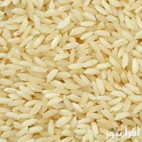 سعر طن الأرز الشعير اليوم الاثنين 27 يناير 2025 ..  السوق المحلي يفجر مفاجأة للمستهلك