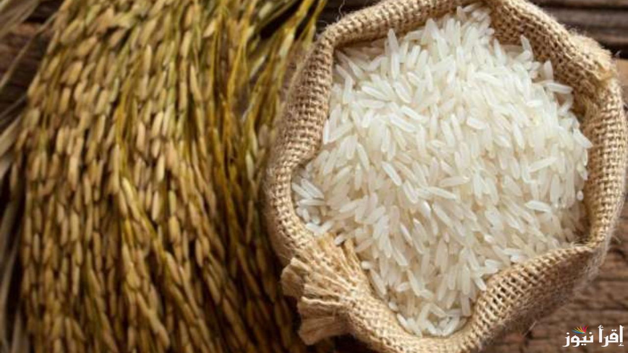 مفاجأة في الأسعار”.. سعر طن الأرز الشعير اليوم الثلاثاء 14 يناير 2025