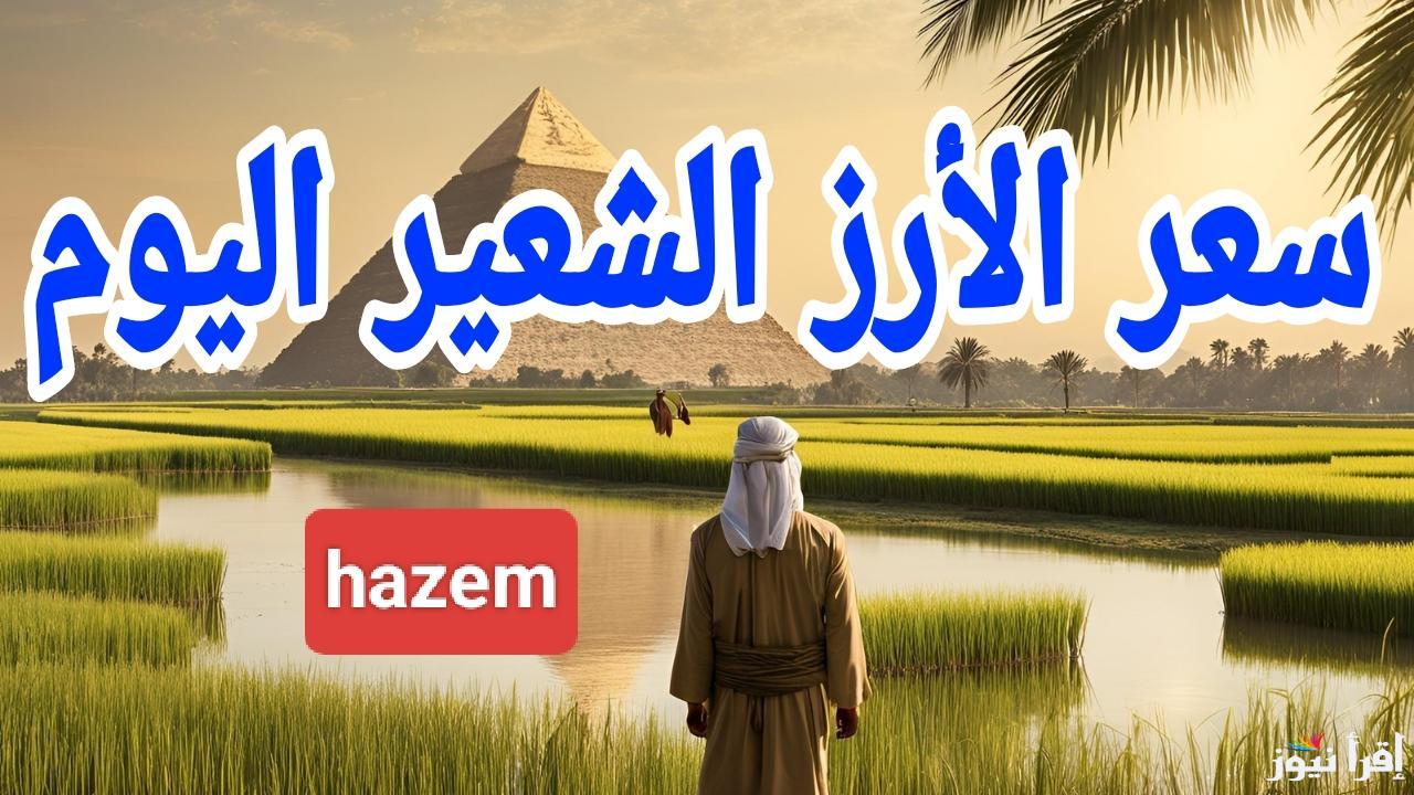 البلدي بكام النهردة.. سعر طن الارز الشعير اليوم الخميس 27 فبراير 2025 في مصر 