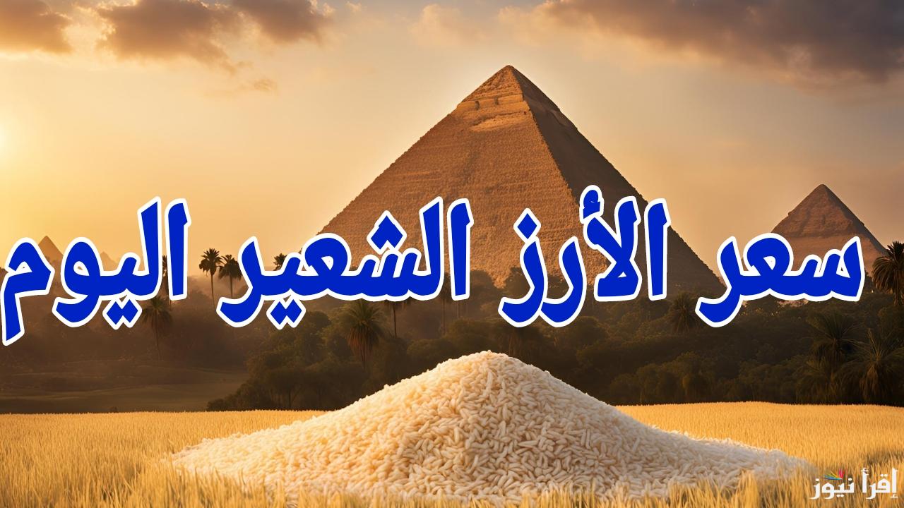 محدش هيعرف يغشك .. سعر طن الارز الشعير اليوم الثلاثاء 25 فبراير 2005 في مصر