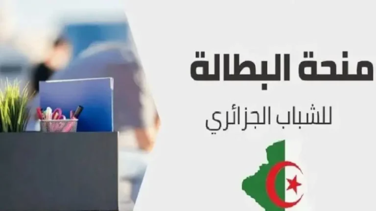  رابط تجديد منحة البطالة 2025 في الجزائر من الهاتف عبر موقع الوكالة الوطنية للتشغيل الرسمي بخطوات بسيطة