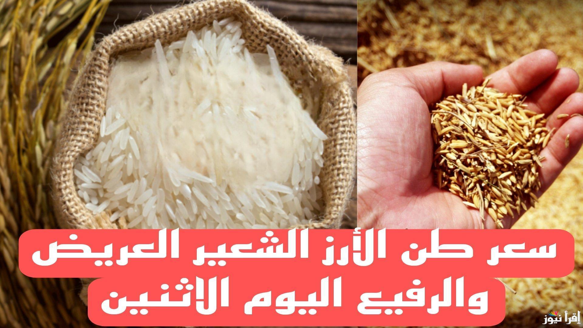 من النهاردة مفيش أرز ببلاش.. سعر طن الأرز الشعير اليوم الأربعاء 12 فبراير 2025 في مصر 