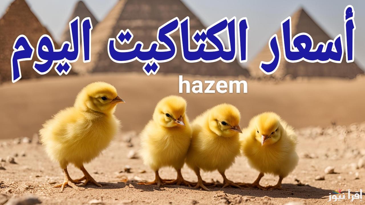  كل يوم بسعر جديد.. أسعار الكتاكيت اليوم الاثنين 3 مارس 2025 في المزارع والمعامل المصرية 