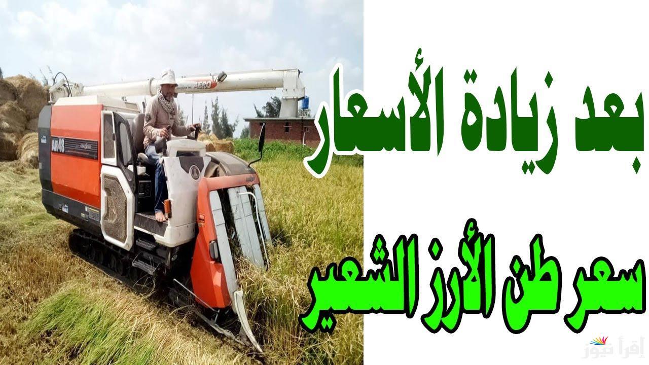 مفاجأة للتجار والمزارعين.. سعر طن الارز الشعير اليوم الاربعاء 12 مارس 2025 في مصر 