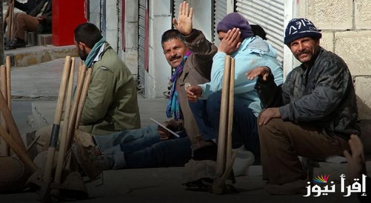 موقع وزارة القوي العاملة.. رابط الاستعلام عن منحة العمالة الغير منتظمة 2025 عبر manpower.gov.eg وشروط الحصول عليها