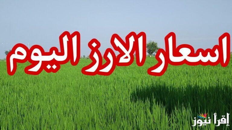 البلدي بكام في رمضان.. سعر طن الارز الشعير اليوم الاثنين 3 مارس 2025 في مصر 