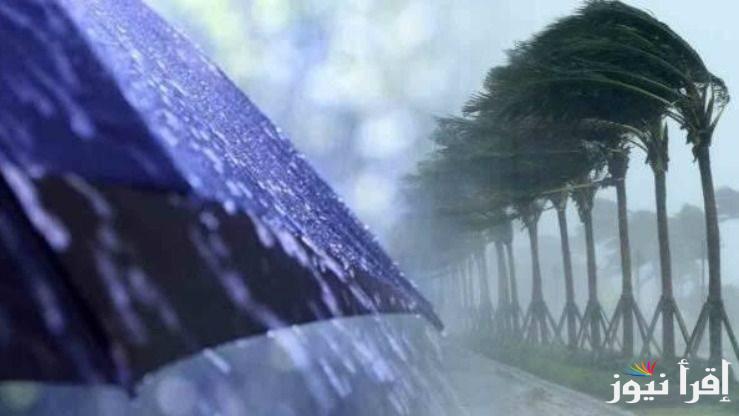 تحذير من وزارة البيئة لكبار السن ومرضى الصدر بسبب الرياح والأتربة