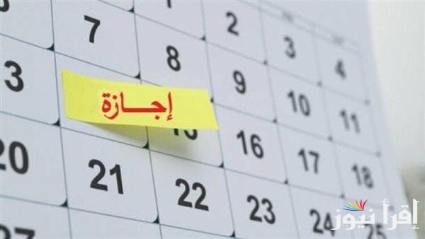 عدد أيام الإجازات الرسمية المتبقية للموظفين في 2025  
عاجل: «لسه ما خلصتش»
