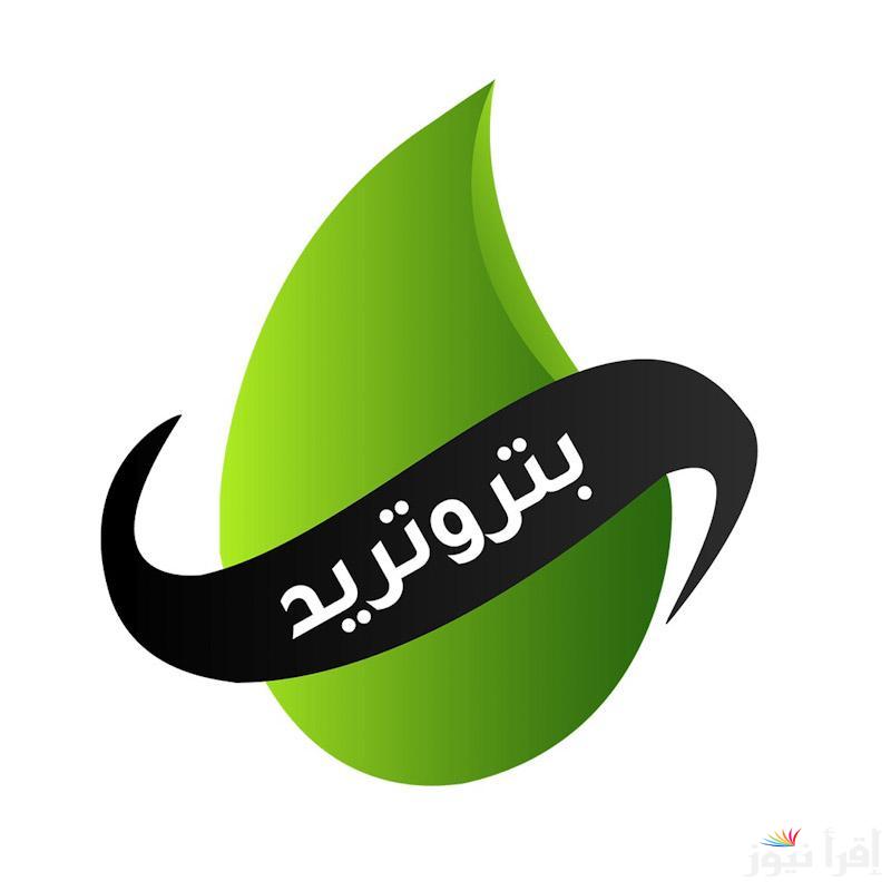 NOW ادفع بكل سهولة  … رابط دفع فاتورة الغاز بتروتريد عبر www.petrotrade.com.eg