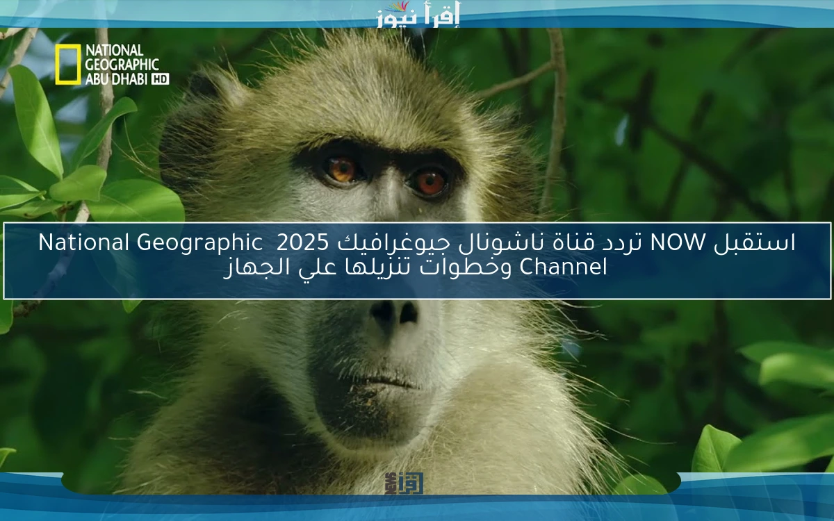 استقبل NOW تردد قناة ناشونال جيوغرافيك 2025  National Geographic Channel وخطوات تنزيلها علي الجهاز