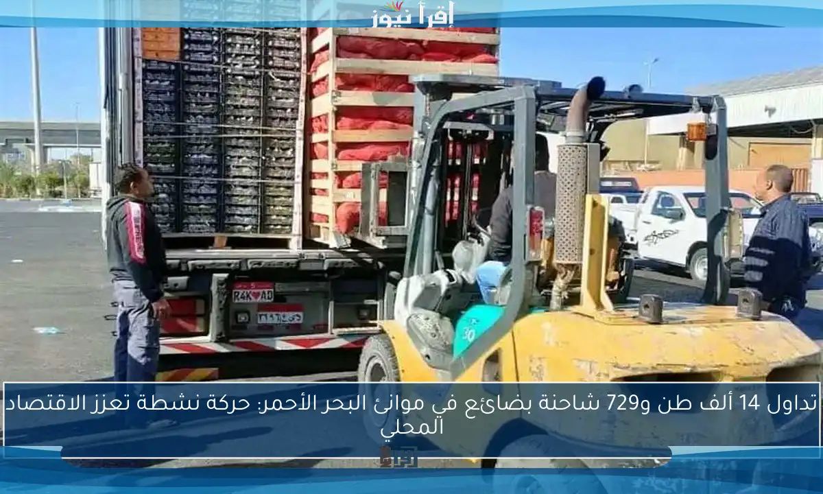 تداول 14 ألف طن و729 شاحنة بضائع في موانئ البحر الأحمر: حركة نشطة تعزز الاقتصاد المحلي