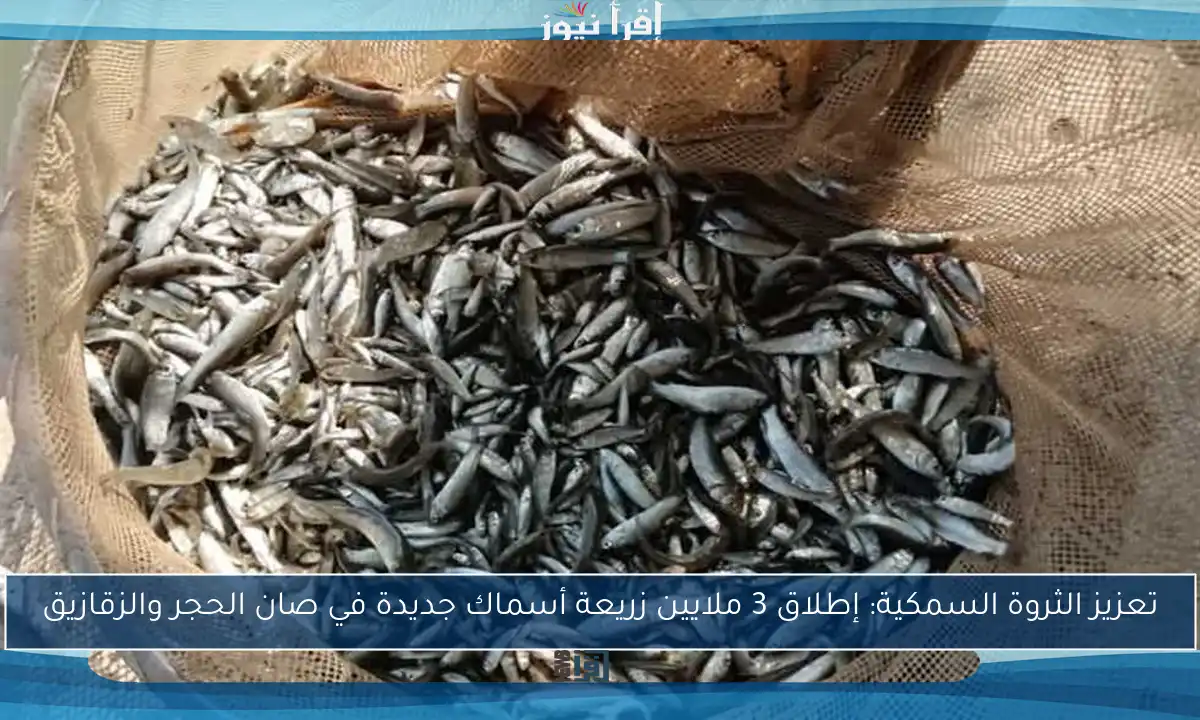 تعزيز الثروة السمكية: إطلاق 3 ملايين زريعة أسماك جديدة في صان الحجر والزقازيق