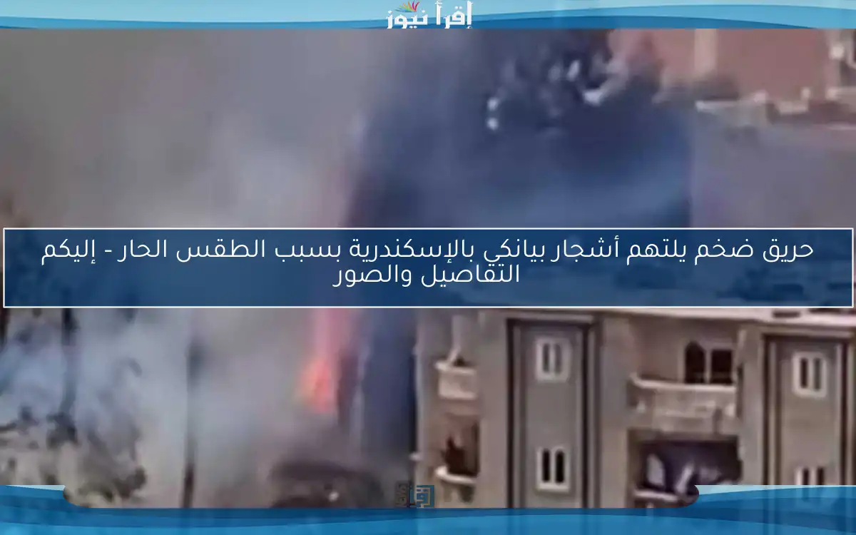 حريق ضخم يلتهم أشجار بيانكي بالإسكندرية بسبب الطقس الحار – إليكم التفاصيل والصور