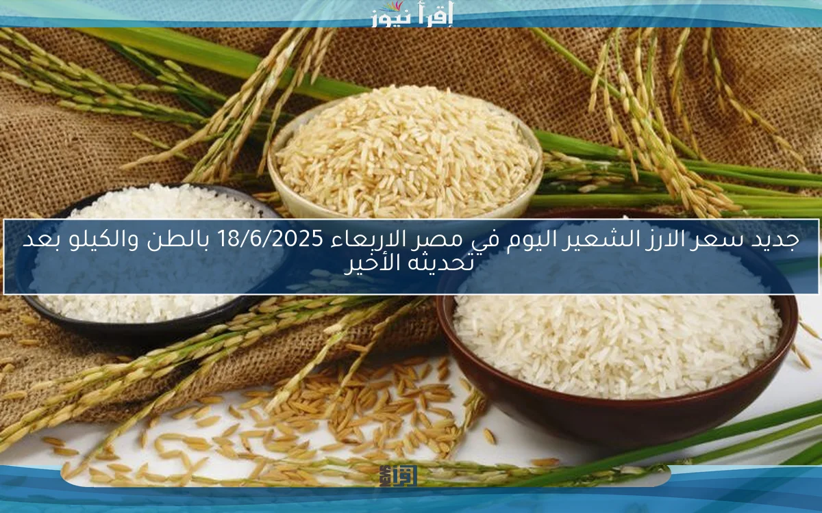 جديد سعر الارز الشعير اليوم في مصر الاربعاء 18/6/2025 بالطن والكيلو بعد تحديثه الأخير